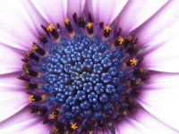 /album/fotogallerij/a2012-08-10-15-11-16-0011-jpg/